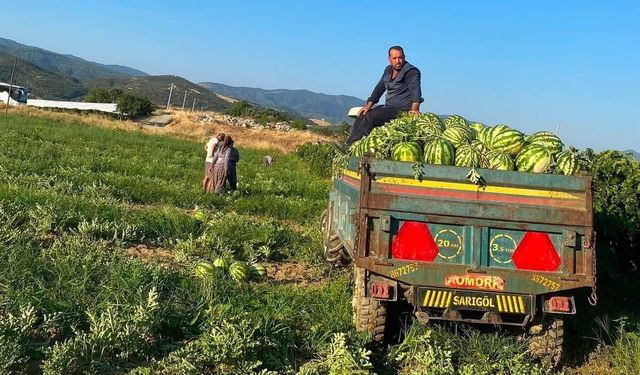 Sarıgöllü üreticiden 'Kendi üret, kendi sat' hamlesi