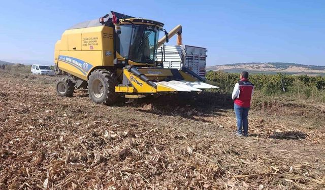 Manisa'da tarımsal üretimde saha denetimleri sürüyor