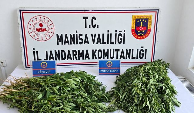 Manisa'da uyuşturucu operasyonları: 3 tutuklama
