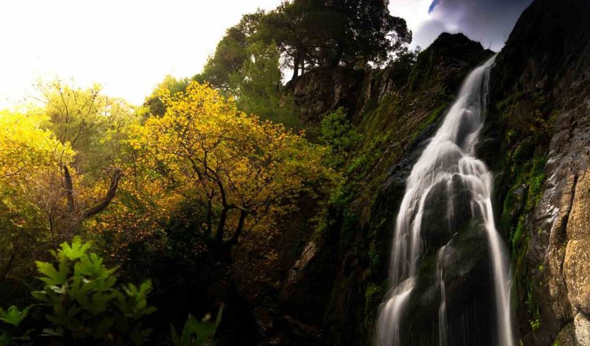 Manisa’da sonbahar manzaraları Karadeniz yaylalarını aratmadı