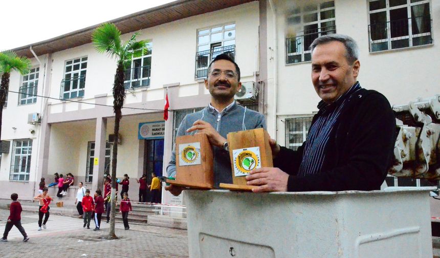 Asırlık ağaçlara kuş yuvaları yerleştirdiler