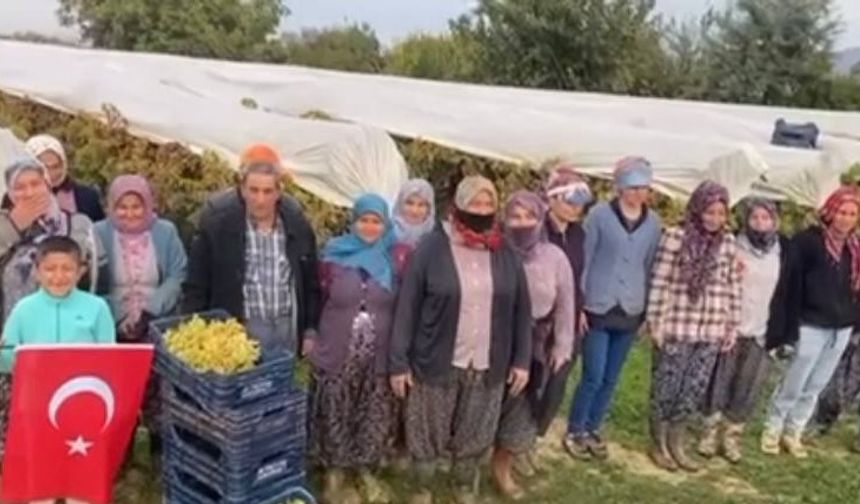 Bağlarda siren sesi yankılandı