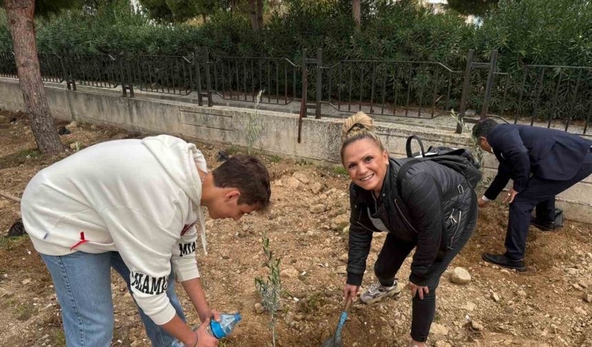 Okul bahçesine 60 zeytin fidanı dikildi