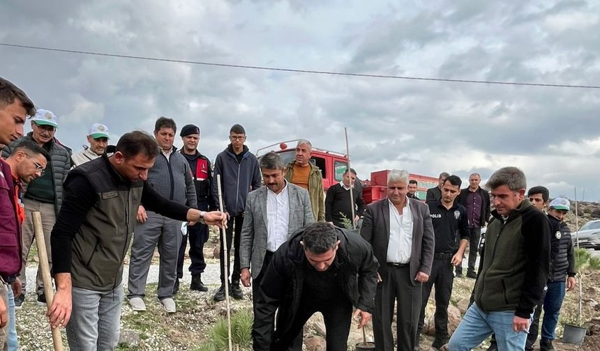 Selendi’de 800 fidan toprakla buluşturuldu