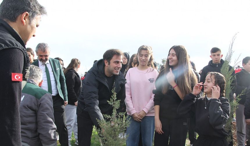 Yangında küle dönen ormanlık alanda fidan diktiler