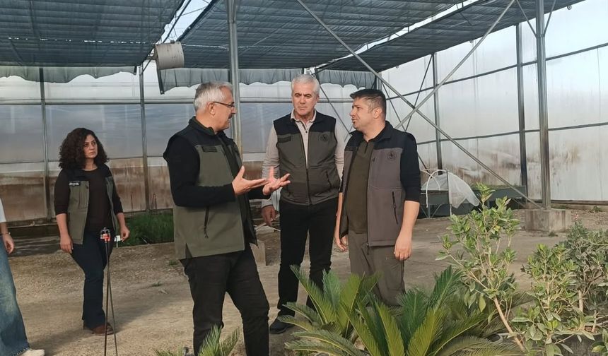 6 milyon fidan üretimi için start verildi (Özel Haber)