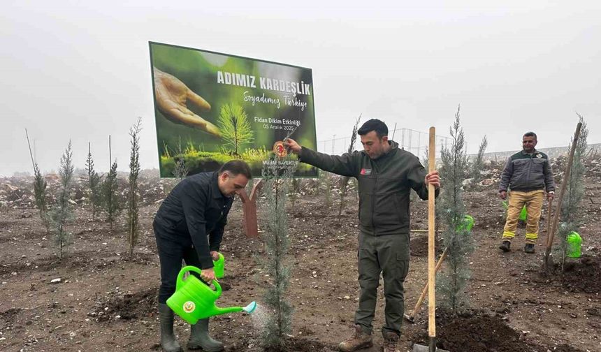 Baybatur’dan yanan orman alanlarına bin fidan
