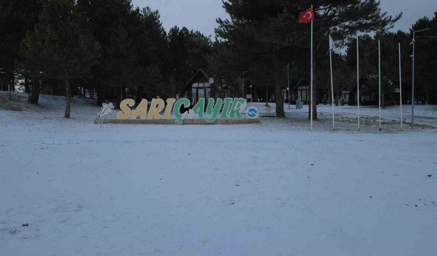 Manisa'da yüksek kesimlerde kar yağışı etkili oldu