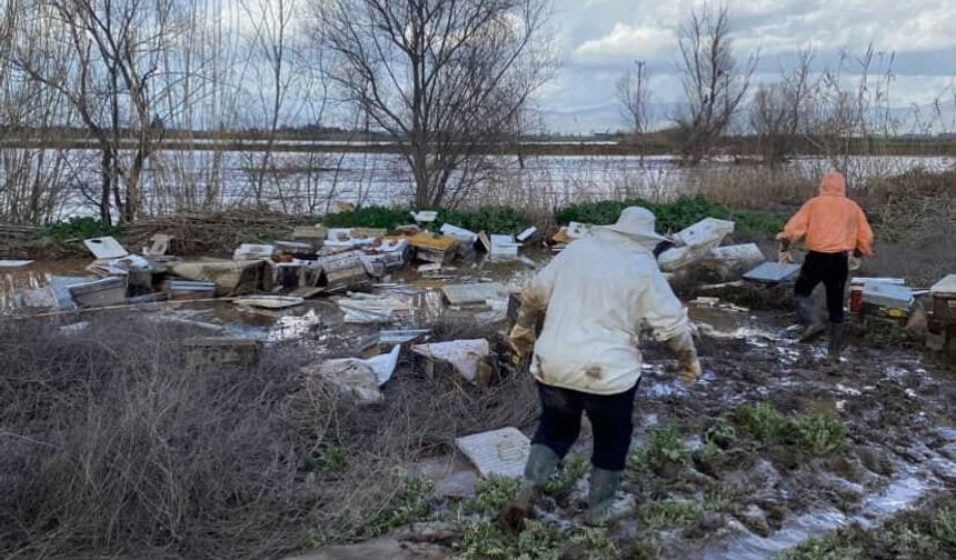 Salihli'de 103 kovan arı sele kapıldı