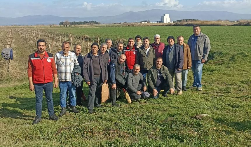 Salihli'de üreticilere budama ve gübreleme eğitimi