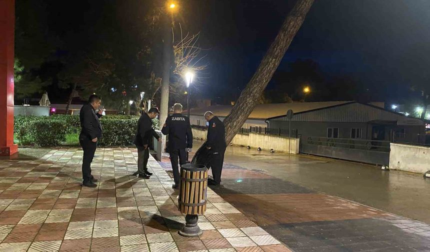 Yarım asırlık çam ağacı fırtınaya dayanamadı