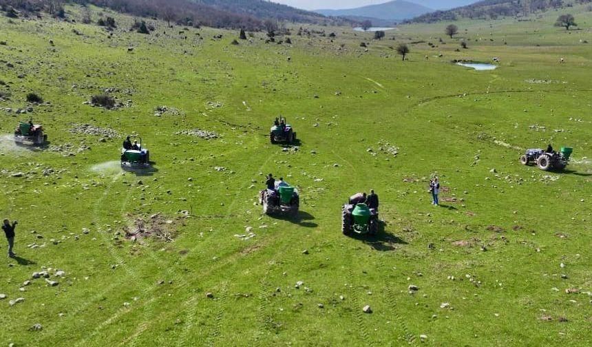 Manisa'da meralara 8,5 tonluk bereket