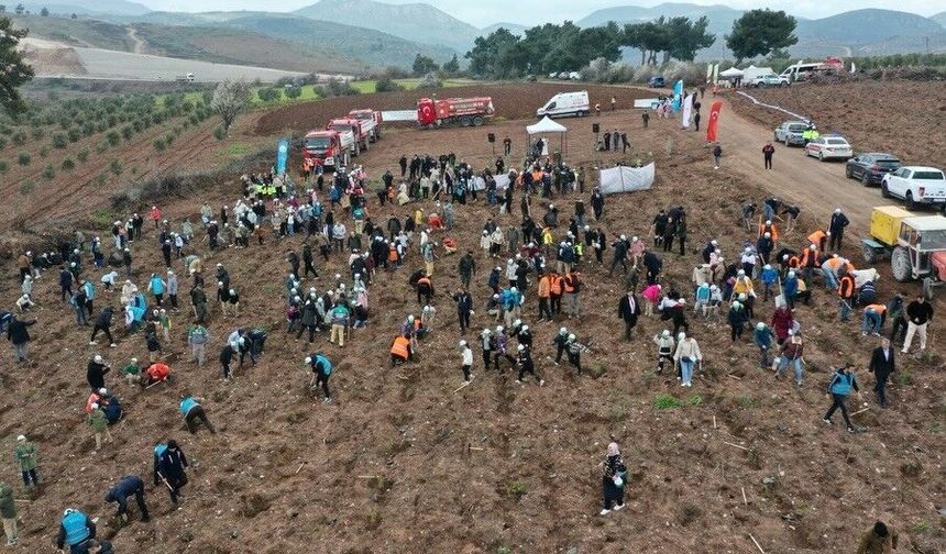 Manisa'da Orman Haftası'nda binlerce fidan toprakla buluştu