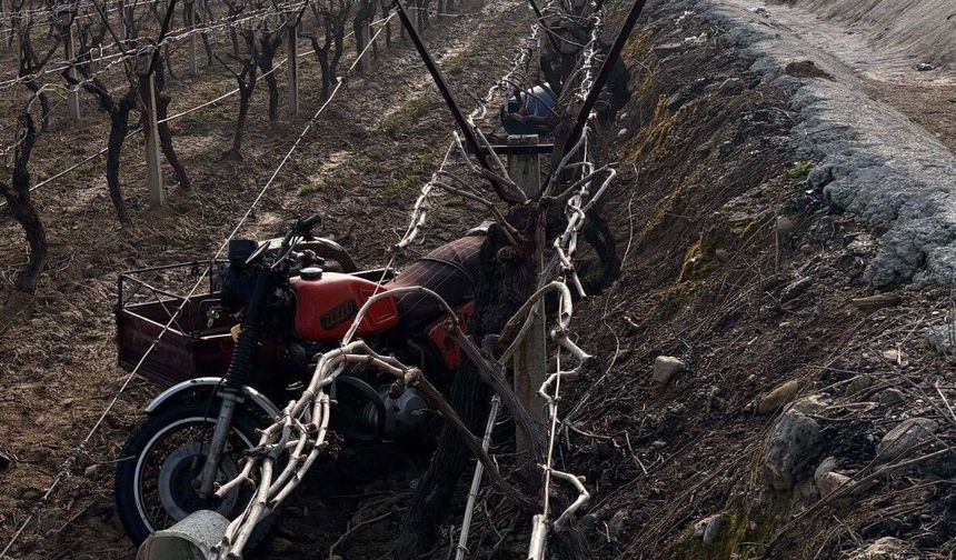 Manisa'da sepetli motosiklet üzüm bağına uçtu: 1 ölü
