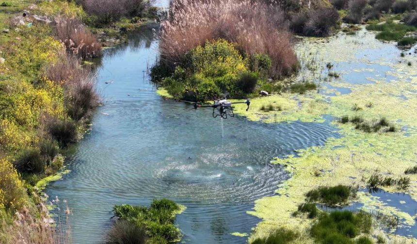 Manisa'da sivrisinek alarmı