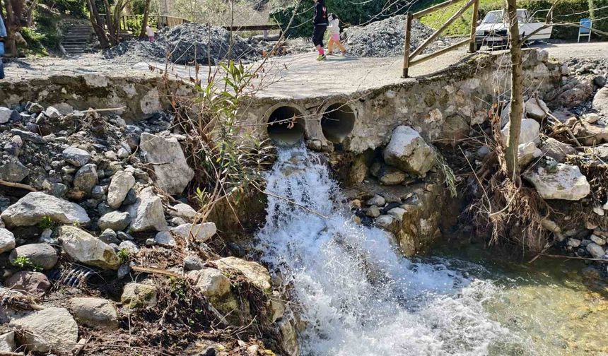 Mesir Tabiat Parkı'na ziyaretçi akını