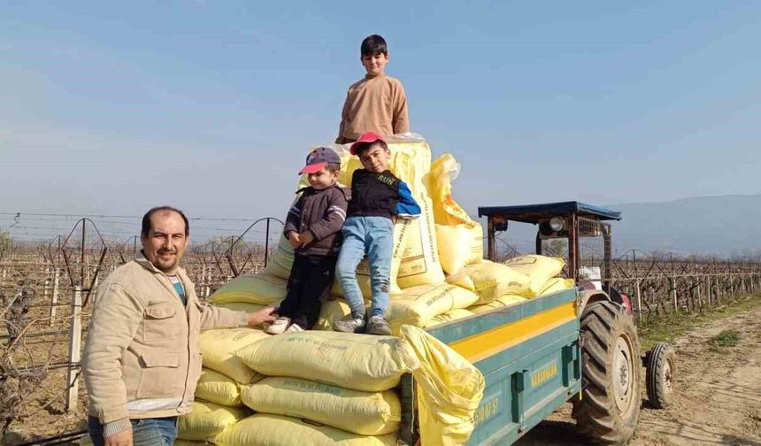 Sarıgöl bağlarında gübreleme çalışmaları başladı