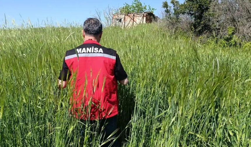 Sarıgöl'de huhubatta verim için ekipler sahada