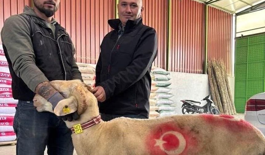 Sarıgöl'de kurbanlık pazarı hareketlendi