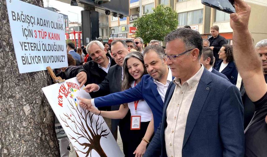 Kökten Hayata Şenliği'ne yoğun ilgi
