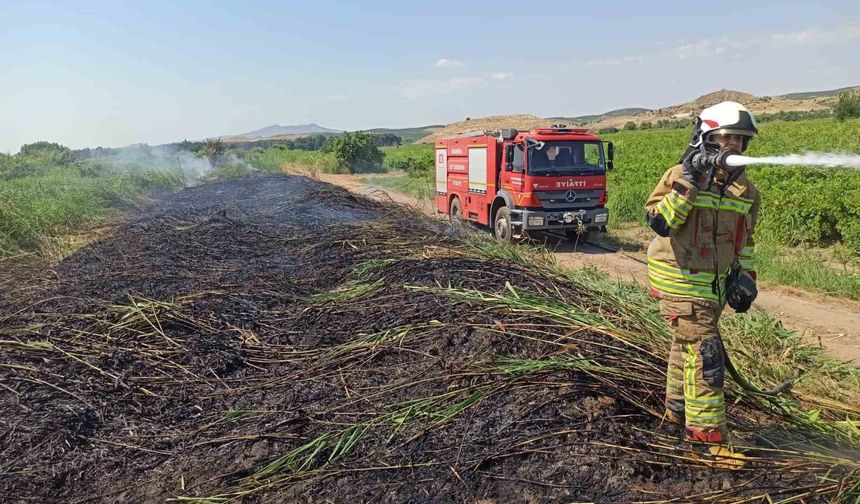 Aşırı sıcaklar Manisa'yı ateş çemberine çevirdi