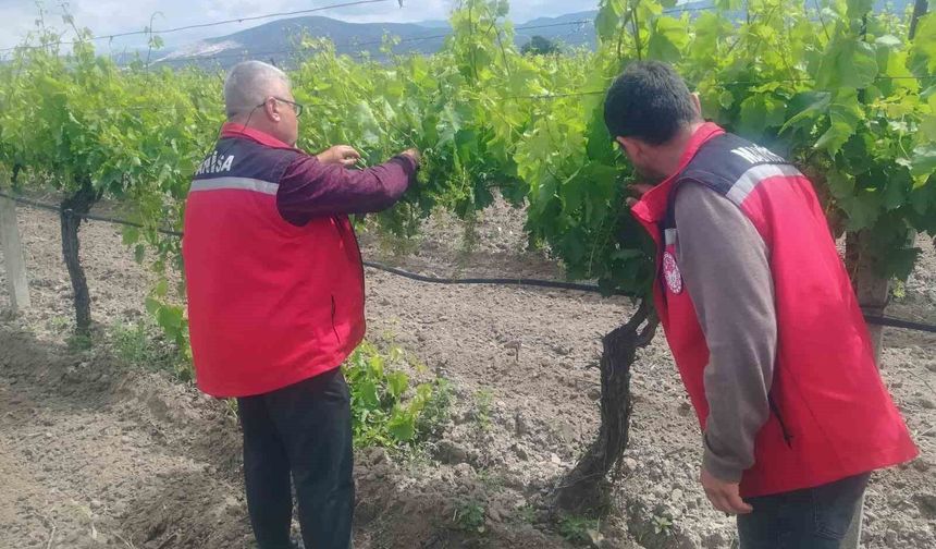 Manisa'da tarım denetimleri hız kesmiyor