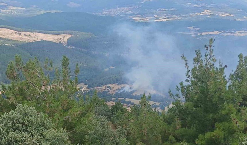 Ahırda çıkan yangın ormana sıçradı, büyümeden söndürüldü