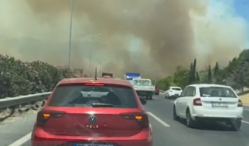 Manisa'da orman yangınında alevler İzmir-İstanbul Otoyolu'na ulaştı