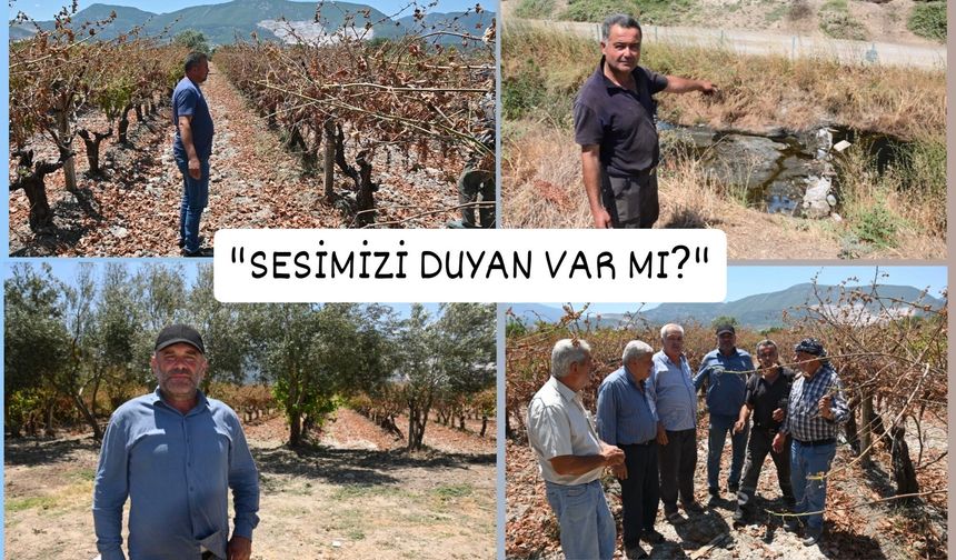Karaali çiftçisi haykırdı: