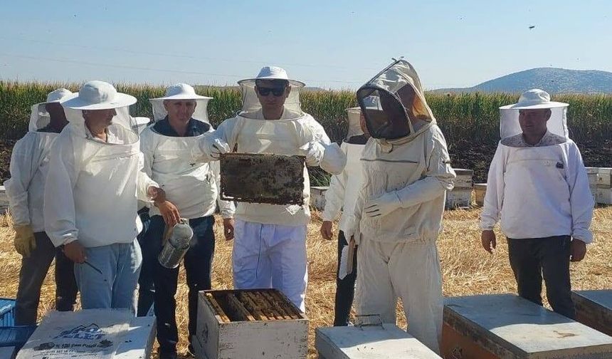 Kaymakam Özcan bal hasadına katıldı