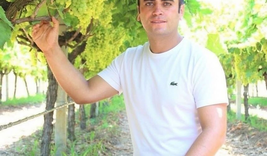 Manisa'da üzüm için 'Altın Model'