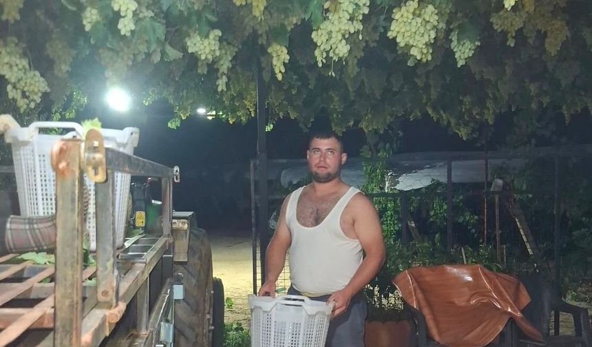 Sarıgöl'de üzüm için gece mesaisi