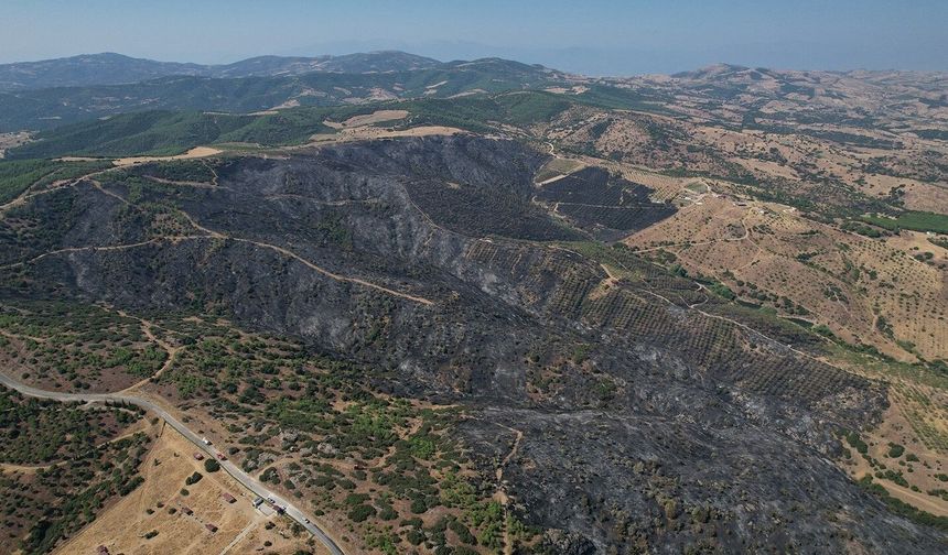 Yangının bilançosu gün ağarınca ortaya çıktı