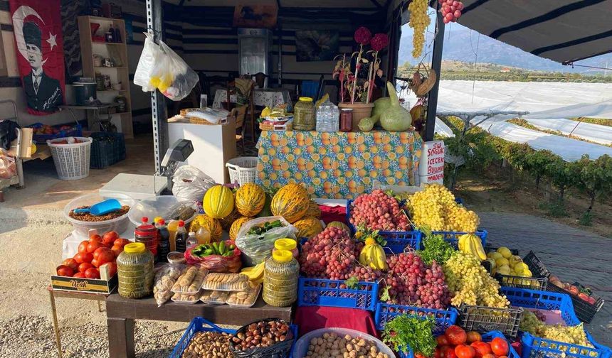 Yol üzerinde dalından sofraya