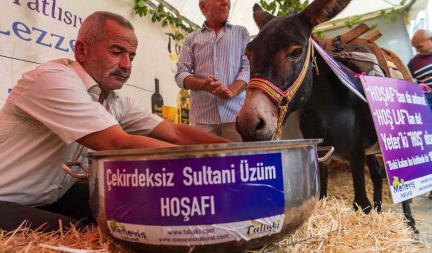Eşek hoşafa direndi, ortaya renkli görüntüler çıktı