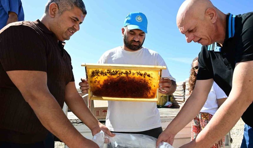 Manisa'da arıcıların peteklerine eksi 30 derecelik koruma