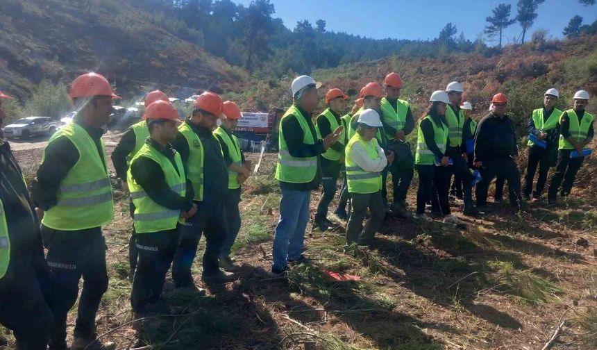 Akhisar'da ormanların geleceği için sahada eğitim