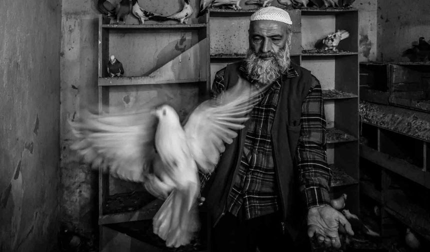 Ara Güler'in izinde Manisa imzası
