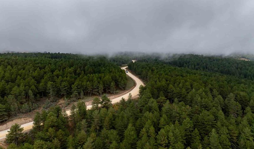 Demirci Söğütçük'te 11 kilometrelik yol için çalışma başladı