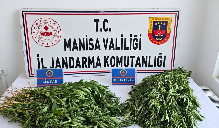 Manisa'da uyuşturucu operasyonları: 3 tutuklama