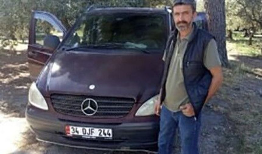 Zeytin toplarken arı soktu hayatını kaybetti
