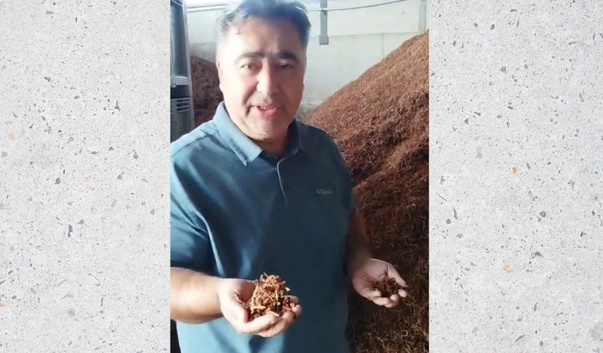 Şenol Özkaya: “Milli servet olan elek altı kuru üzüm çürümeye bırakılıyor”