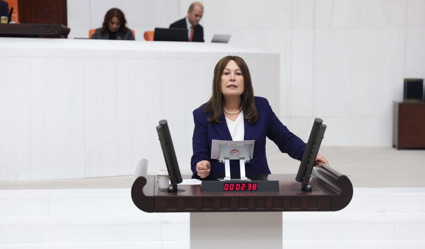 Manisa’da zeytincilik can çekişiyor