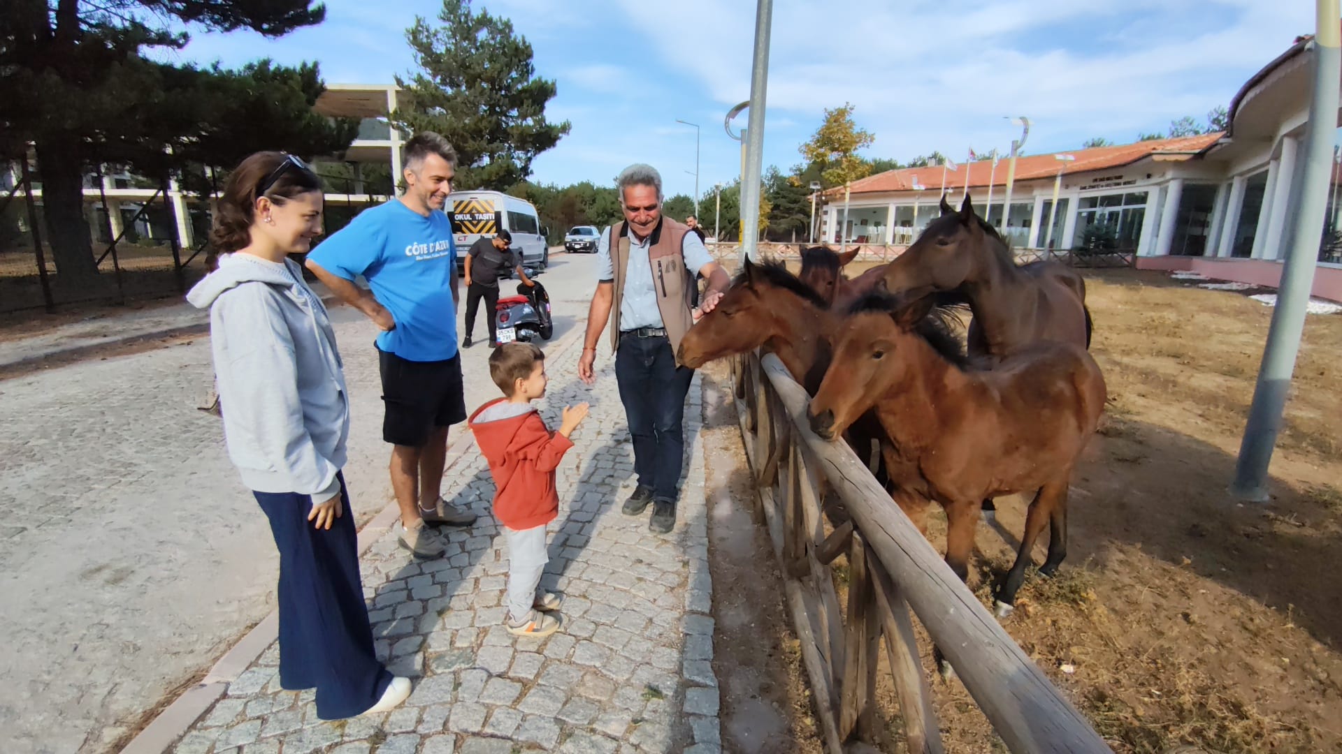 I M G 20250928 W A0018