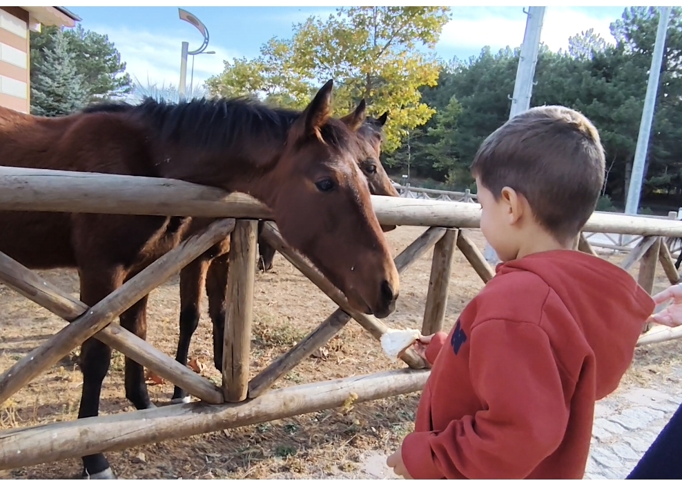 Screenshot 2025 09 29 09 21 02 851 Com.miui.mediaviewer Edit