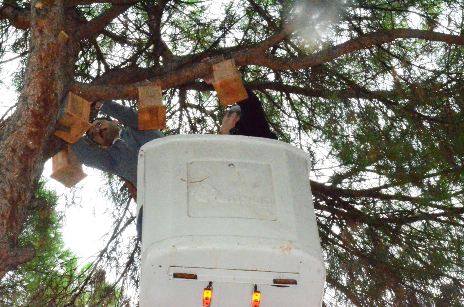 Whatsapp Image 2025 10 09 At 15.20.02