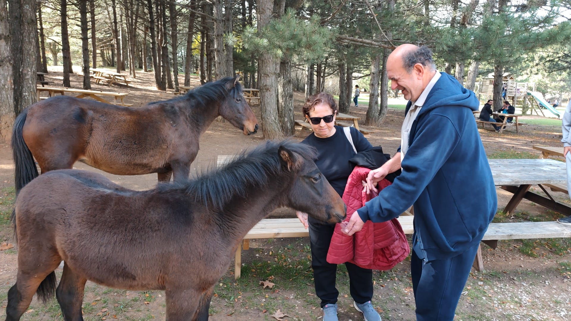 Whatsapp Image 2025 11 02 At 11.27.38 (3)