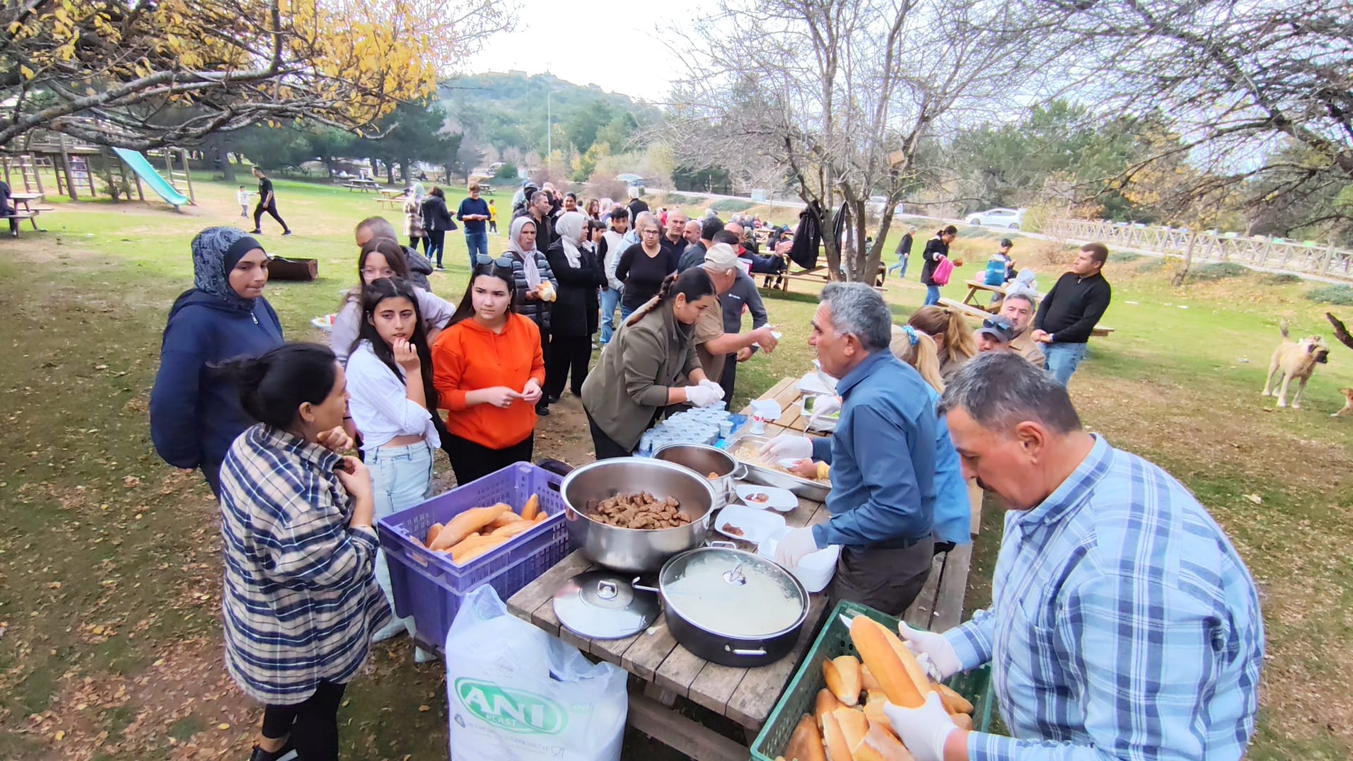 Whatsapp Image 2025 11 02 At 11.28.26 (2)