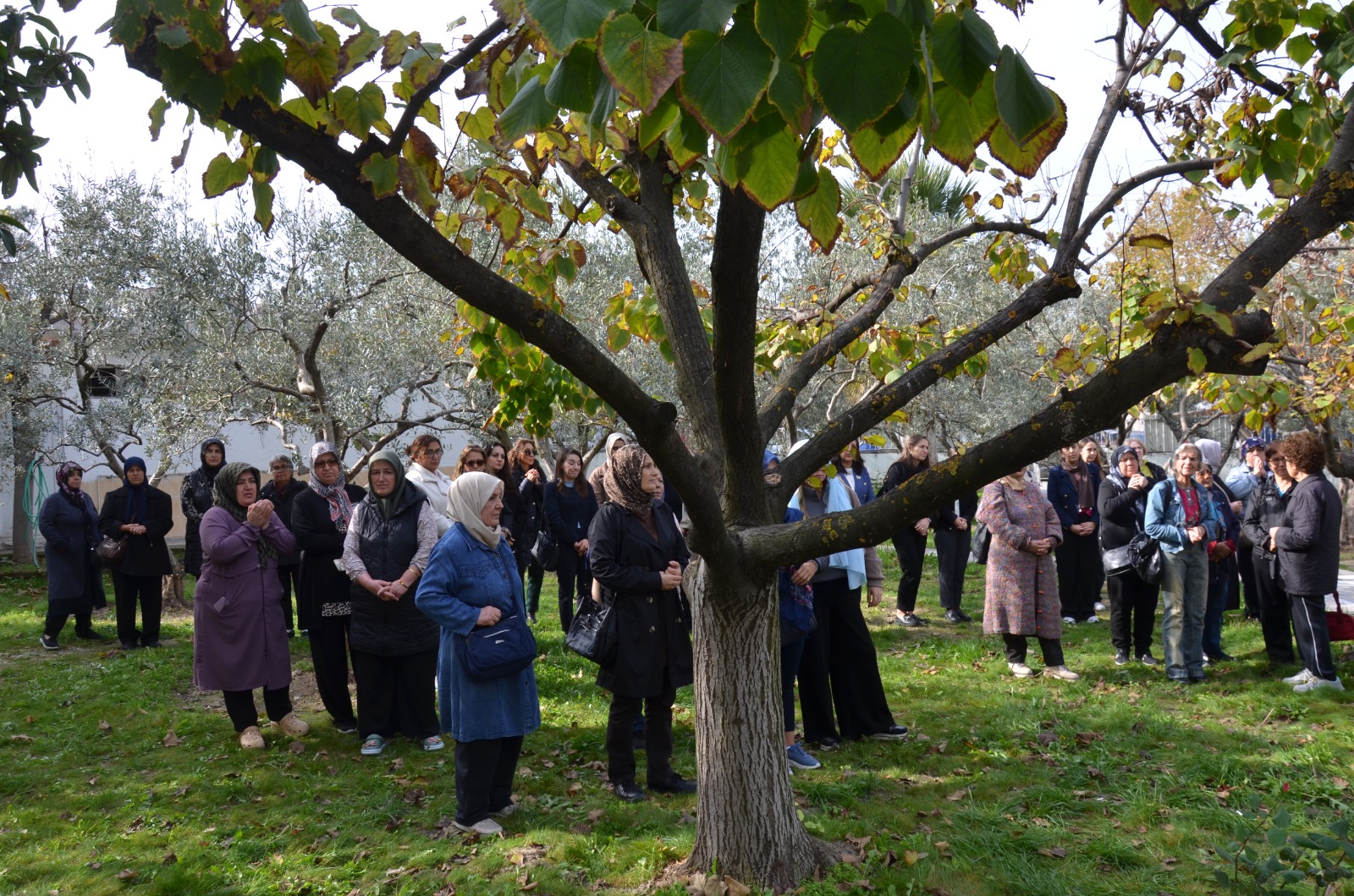 Whatsapp Image 2025 11 19 At 14.26.04 (3)