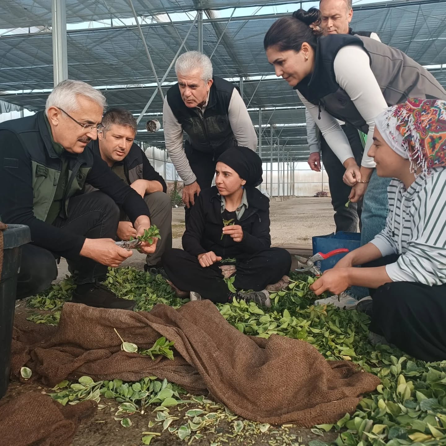 Whatsapp Image 2025 11 27 At 16.09.49